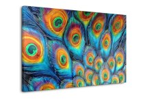 Obraz do obývačky - Pávie Oká zs111