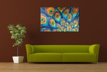 Obraz do obývačky - Pávie Oká zs111