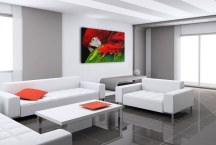 Obrazy Vtáky - Papagáj zs113