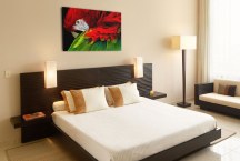 Obrazy Vtáky - Papagáj zs113