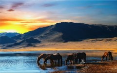 Obraz na stenu ZS - bez pomeru strán