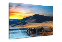 Obraz Zvieratá zs114