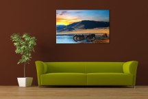 Obraz Zvieratá zs114