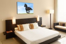 Obraz Čierny kôň zs118