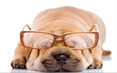 Obraz na stenu ZS - bez pomeru strán