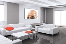 Obraz do detskej izby Psík zs120