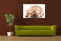 Obraz do detskej izby Psík zs120