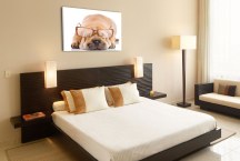 Obraz do detskej izby Psík zs120