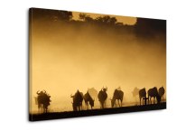 Obraz Zvieratá Stádo zs124