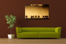 Obraz Zvieratá Stádo zs124