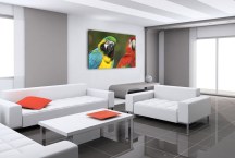 Obraz Papagáj zs126