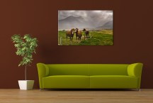 Obraz Stádo koní zs127