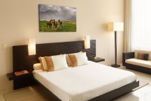 Obraz Stádo koní zs127