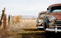 Obraz na stenu ZS - bez pomeru strán