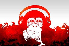 Obraz na stenu ZS - bez pomeru strán