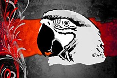 Obraz na stenu ZS - bez pomeru strán