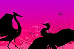 Obraz na stenu ZS - bez pomeru strán