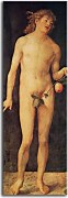 Albrecht Dürer Obraz - Adam zs16512