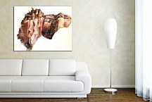 Quarry Obraz Albrecht Dürer zs16589