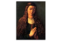 The open Fürlegerin with hair Reprodukcia Albrecht Dürer zs16608