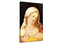 Virgin Suckling the Child Reprodukcia Albrecht Dürer zs16620