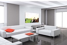 Reprodukcie Degas - A Carriage at the Races  zs16624