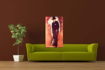 Degas Obraz - Achille de Gas zs16626