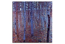 Reprodukcie Gustav Klimt - Buchenhain zs16753