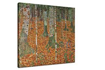 Farmhouse with Birch Trees Obraz zs16765