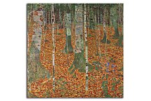 Farmhouse with Birch Trees Obraz zs16765