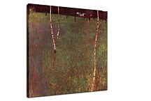 Farmhouses with Birch Trees Obraz zs16766