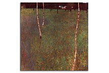 Farmhouses with Birch Trees Obraz zs16766