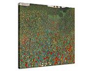 Obrazy Gustav Klimt - Poppy Field zs16785