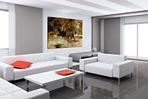 Dog Car Obraz zs16836