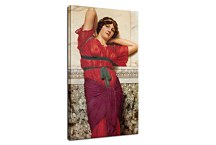 Contemplation Obraz zs16894