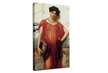 Drusilla Obraz  zs16895