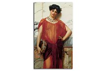 Drusilla Obraz  zs16895