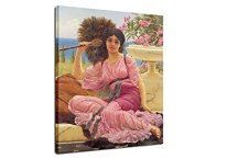 Flabellifera Obraz  zs16897