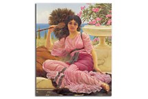 Flabellifera Obraz  zs16897