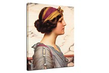 Megilla Reprodukcia zs16912