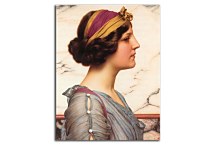 Megilla Reprodukcia zs16912