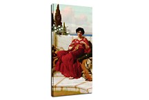 Mischief Reprodukcia zs16913