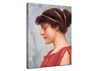 Ophelia Reprodukcia zs16916