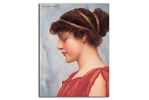 Ophelia Reprodukcia zs16916