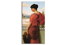 Phyleis Reprodukcia zs16917