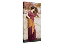 The Peacock Fan Obraz  zs16930