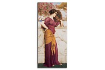 The Peacock Fan Obraz  zs16930