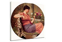 The Time of Roses Obraz zs16933