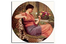 The Time of Roses Obraz zs16933