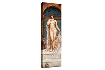 Venus at the Bath Obraz zs16935